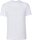 Schweres Herren T-Shirt F.O.L. | Iconic 195 T